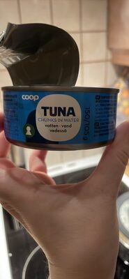 Tonnikalapalat vedessä