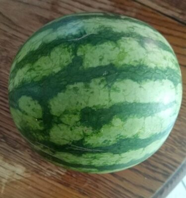Wassermelone mini