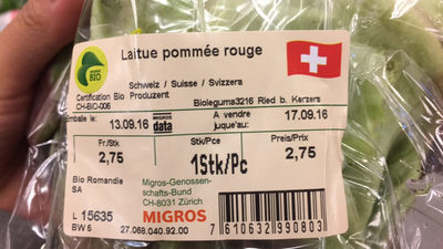 Laitue pommée rouge front packaging