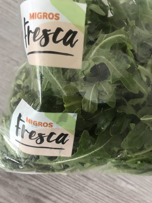 Rucola