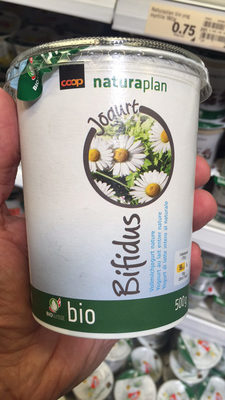 Bifidus Vollmilchjogurt nature BIO