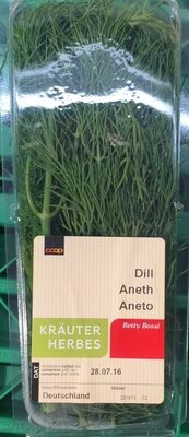 Dill herbs