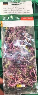 Germes de radis longs rouges