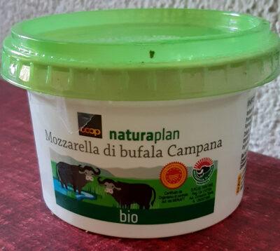 Mozzarella di bufala campana