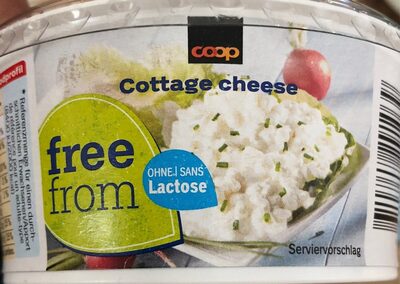 Freeform Cottage cheese
