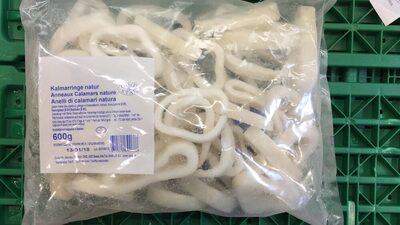 Rings calamari nature