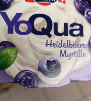 YoQua bilberry