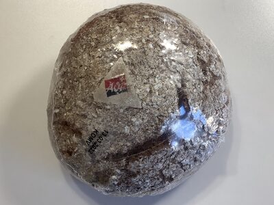 Pain de seigle valaisan AOP