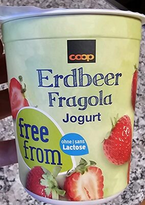 FreeFrom Lactose Free Strawberry Yogurt front packaging