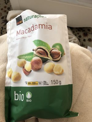 Macadamia noix
