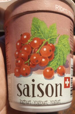 Saison yogourt groseilles
