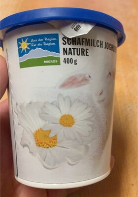 Schafmilch yogurt