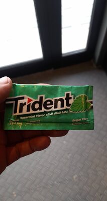 Trident spearmint flavor