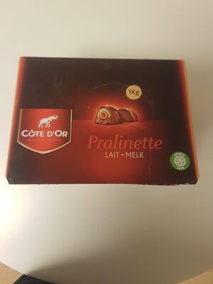 Côte D'or Pralinette 100 Pièces 1KG front packaging