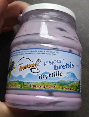 Yogourt Brebis Myrtille