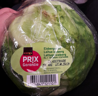 Laitue iceberg prix garantie