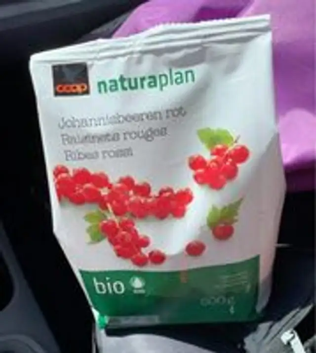 Johannisbeeren rot
