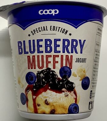 Yogourt Blueberry Muffin