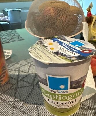 Napfjogurt