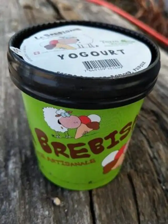 Yogourt