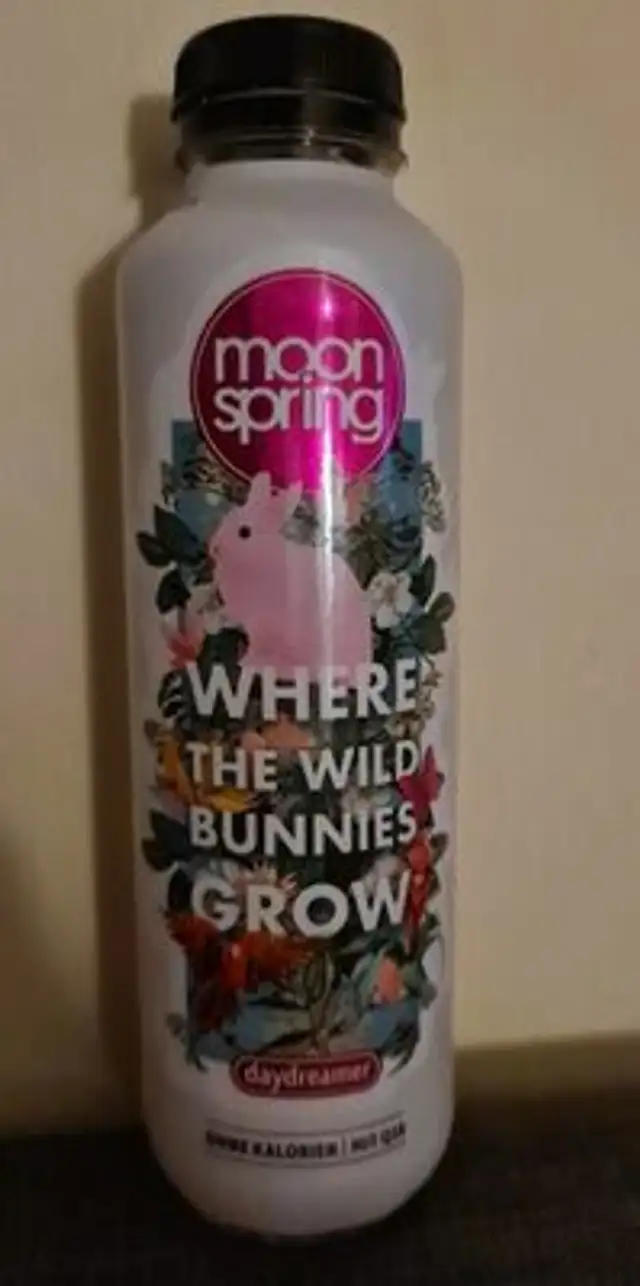 Erdbeere minze