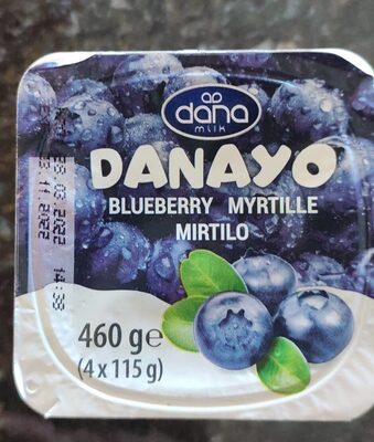 Danayo blueberry yogourt