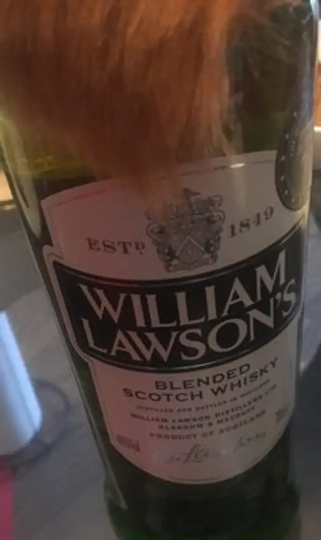 Scotch whisky