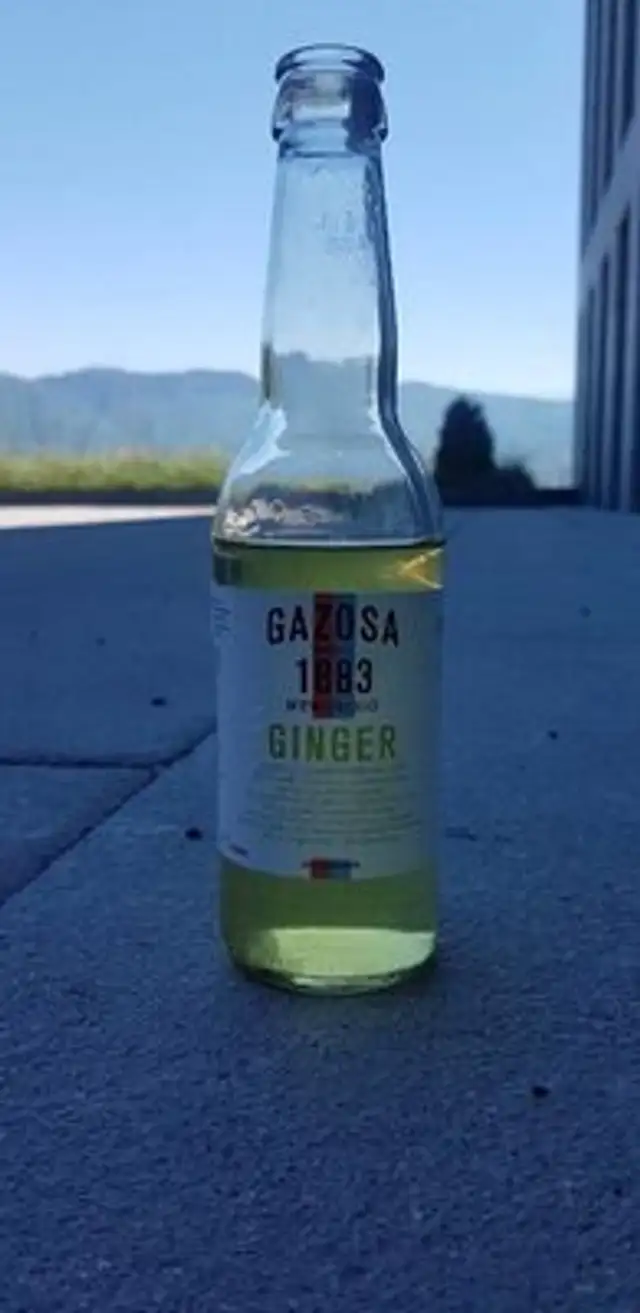Ginger