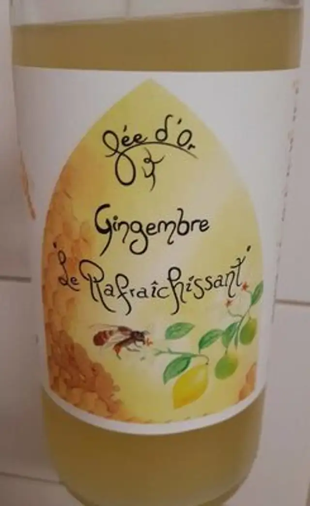 Gingembre "Le Rafraîchissant"