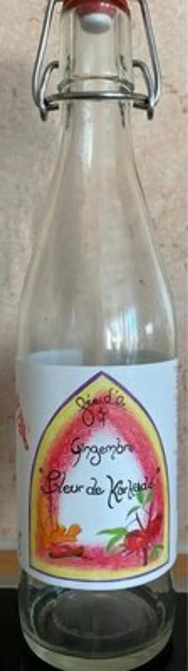 Gingembre " fleir de Karkadé"