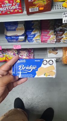 Bridge wafer