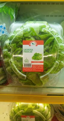 Lechuga frescas