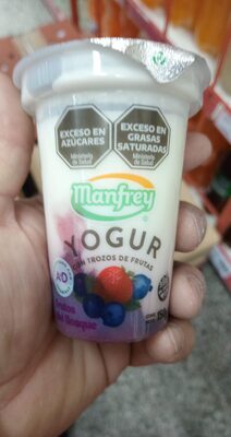 Yogur frutos bosque