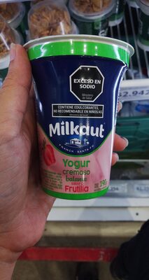 milkaut 190 desc frutilla