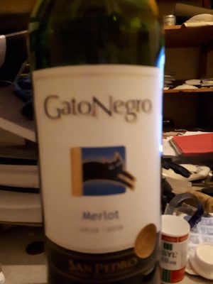 Gato Negro - Merlot - 750 ML front packaging