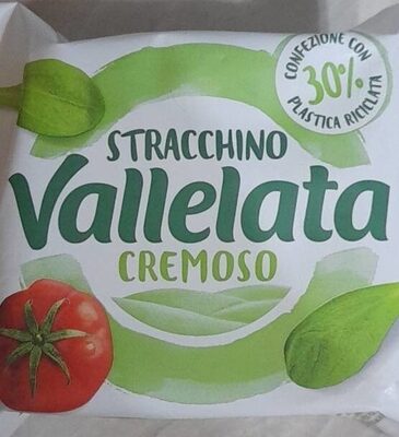 Stracchino cremoso