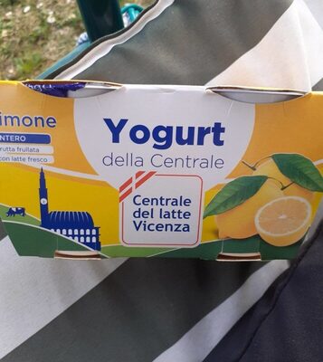 Yogurt front packaging
