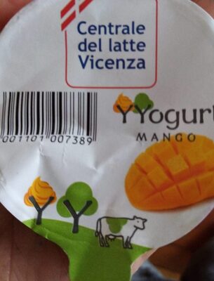 Yogurt mango