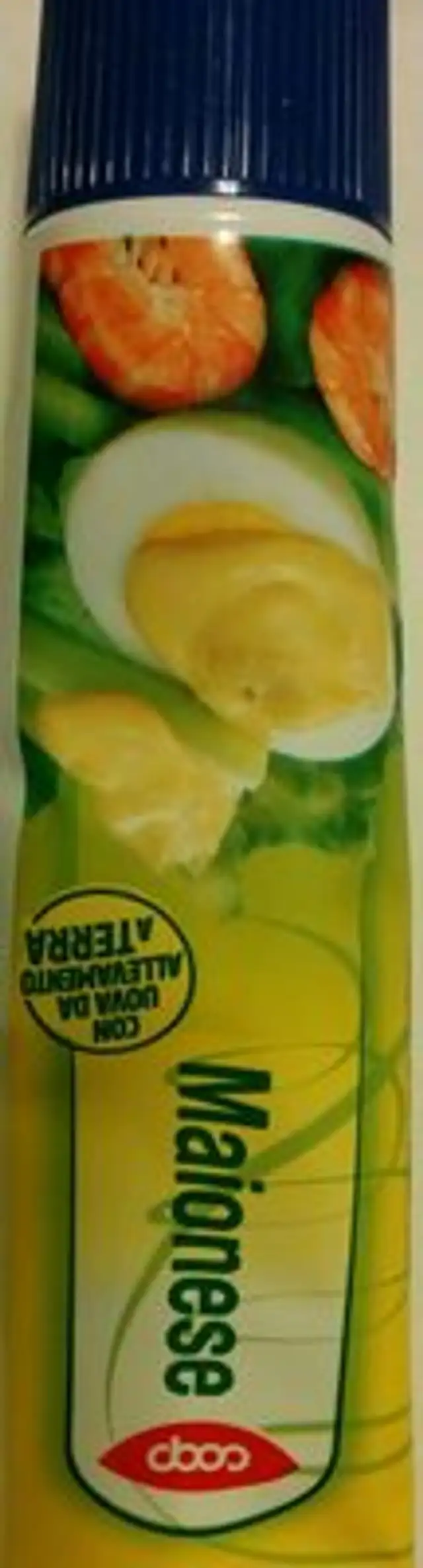 Maionoese front packaging