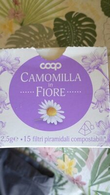 Camomilla in fiore