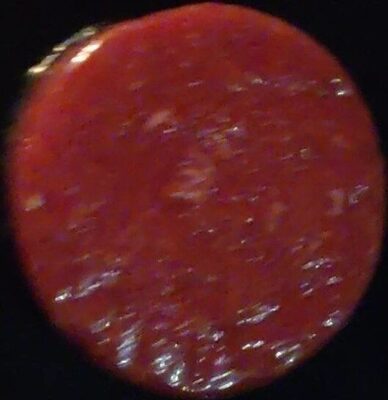 Tartare di bovino adulto con guacamole