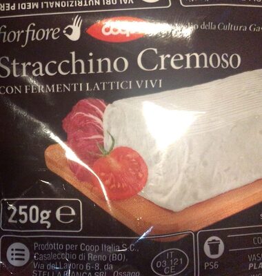 Stracchino cremoso