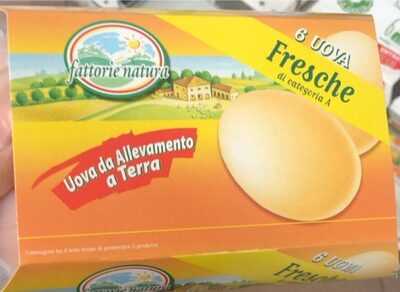 Uova da allevamento a terra