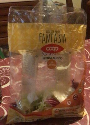 INSALATA MISTA FANTASIA