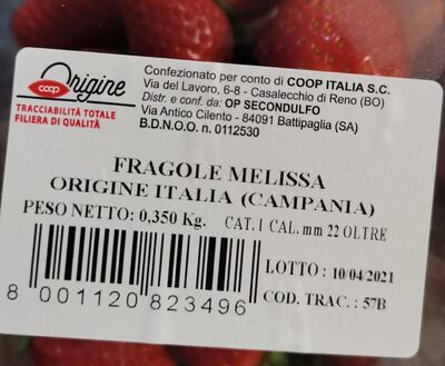 Fragole melissa