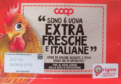 6 uova grandi extra fresche