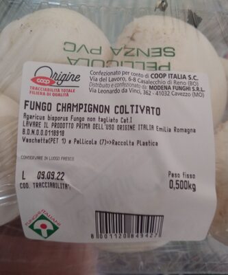 Fungo champignon coltivato