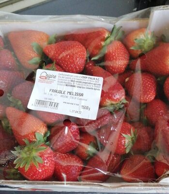 Fragole melissa