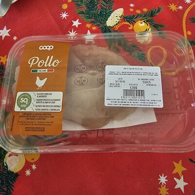 Pollo