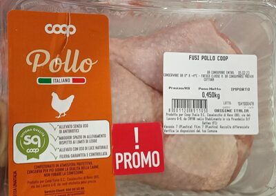 Pollo